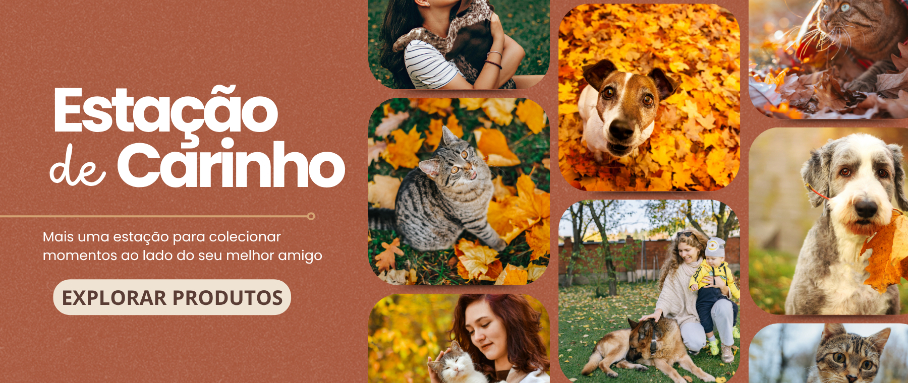 Veja mais: 