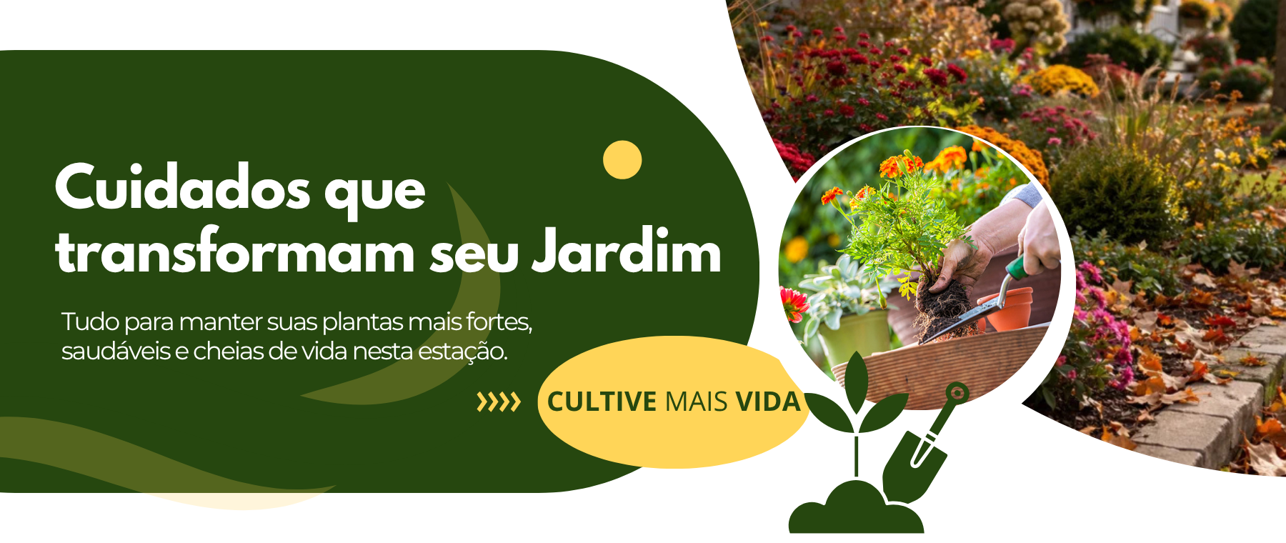 Veja mais: 