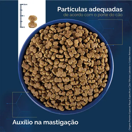 ORIGENS LABRADOR/GOLDEN FILHOTE 15KG