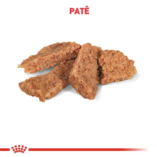 ROYAL CANIN INTESTINAL CANINE WET 400G