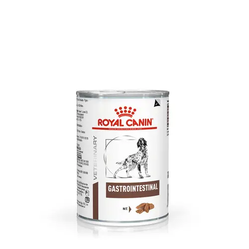 ROYAL CANIN INTESTINAL CANINE WET 400G