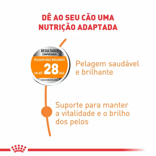 ROYAL CANIN MINI COAT CARE 2,5KG