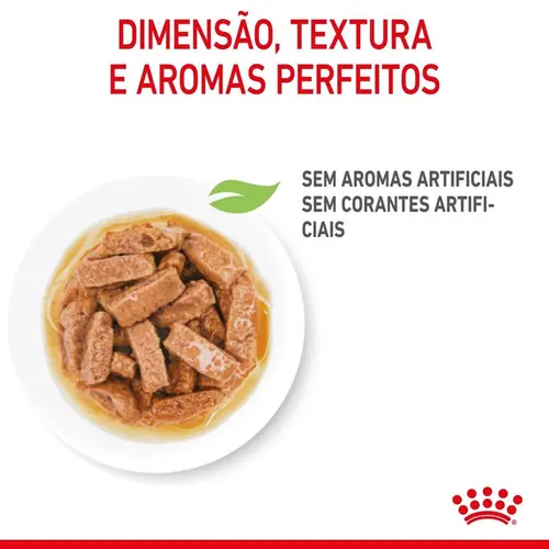 ROYAL CANIN MAXI PUPPY WET 140G