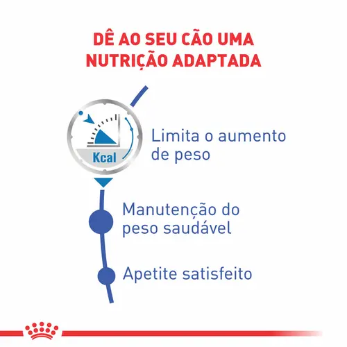 ROYAL CANIN LIGHTWEIGTHCARE WET 85G