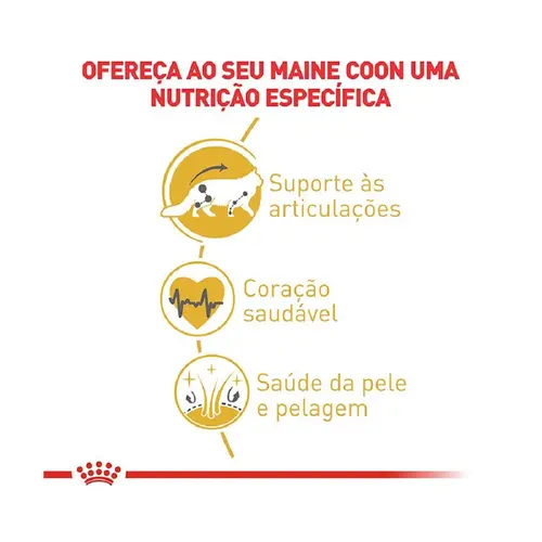 ROYAL CANIN CAT MAINE COON ADULT 4KG