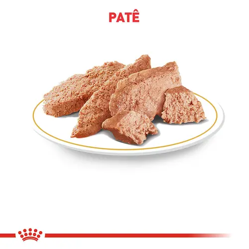 ROYAL CANIN POMERANIAN WET 85G