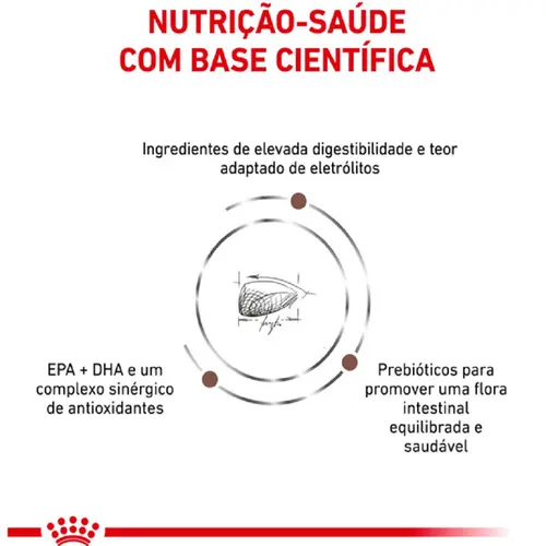 ROYAL CANIN INTESTINAL FELINE 1,5KG