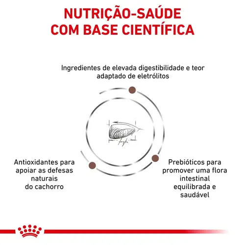ROYAL CANIN INTESTINAL CANINE PUPPY 2KG