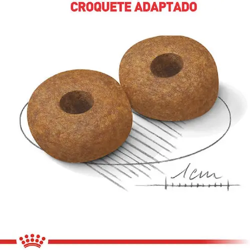 ROYAL CANIN MEDIUM ADULT 10+ 15KG