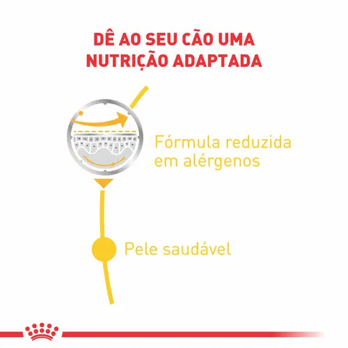 ROYAL CANIN DERMACOMFORT WET 85G