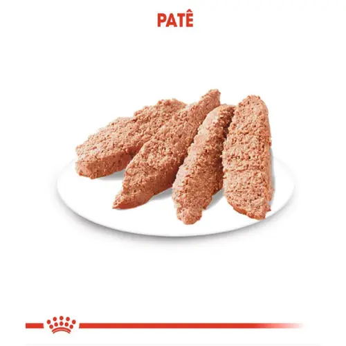 ROYAL CANIN DERMACOMFORT WET 85G