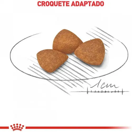 ROYAL CANIN X-SMALL 12+ 1KG