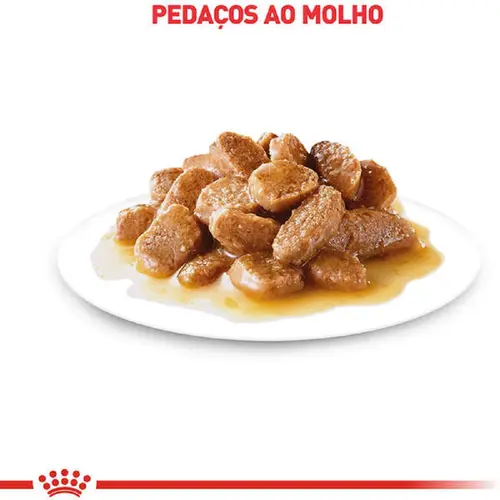 ROYAL CANIN MINI AGEING WET 85G
