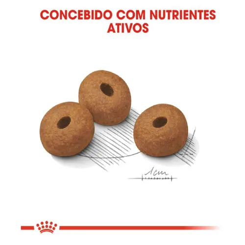 ROYAL CANIN MAXI LIGHT 10,1KG