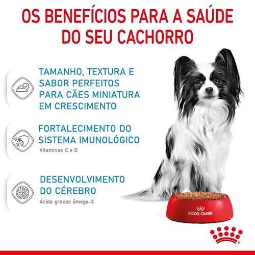 ROYAL CANIN X-SMALL PUPPY WET 85G