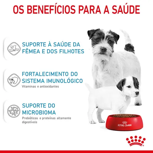 ROYAL CANIN MINI STAR MOTHER &amp; BABYDOG 1KG