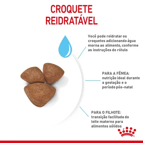 ROYAL CANIN MINI STAR MOTHER &amp; BABYDOG 1KG