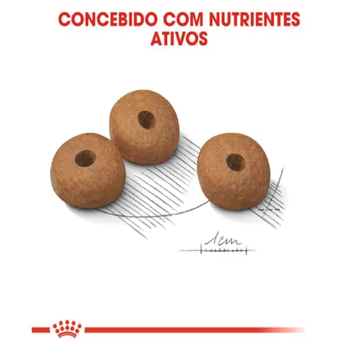 ROYAL CANIN MEDIUM LIGHT 10,1KG