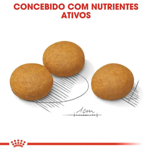 ROYAL CANIN MAXI DERMACONFORT 10,1KG