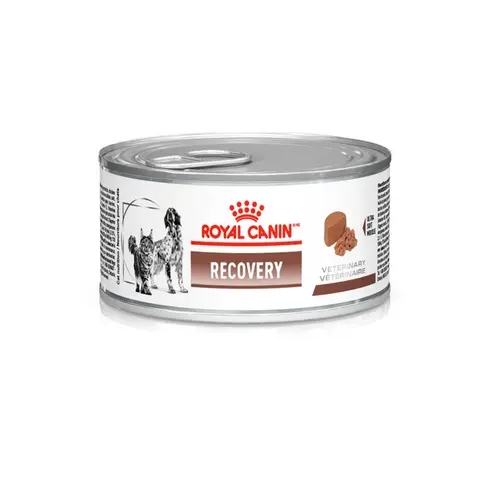 ROYAL CANIN RECOVERY 195G