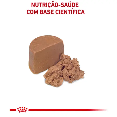 ROYAL CANIN RECOVERY 195G