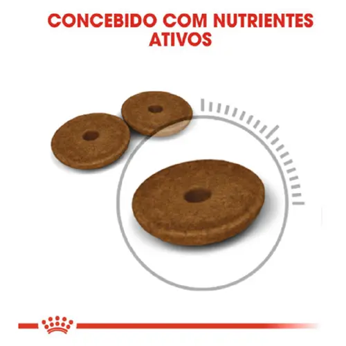 ROYAL CANIN CAT DIGESTIVE CARE