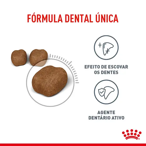 ROYAL CANIN CAT DENTAL CARE