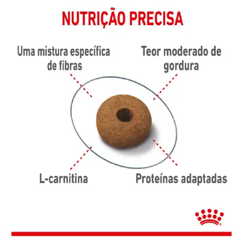 ROYAL CANIN CAT APPETITE CONTROL 400G