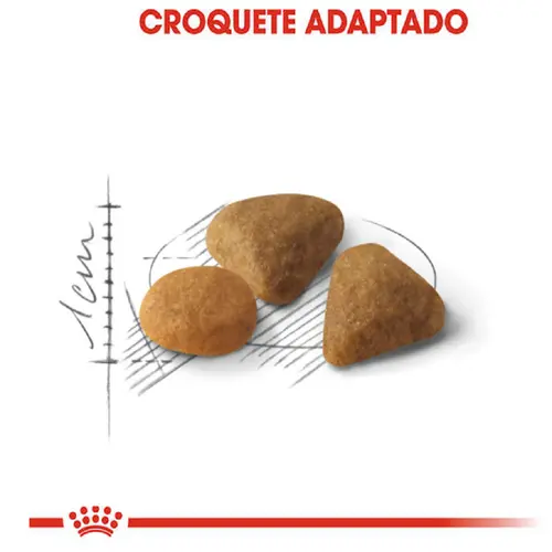 ROYAL CANIN CAT EXIGENT