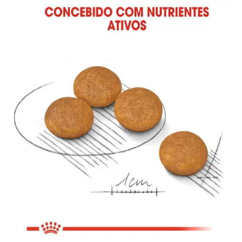 ROYAL CANIN MINI DERMACONFORT