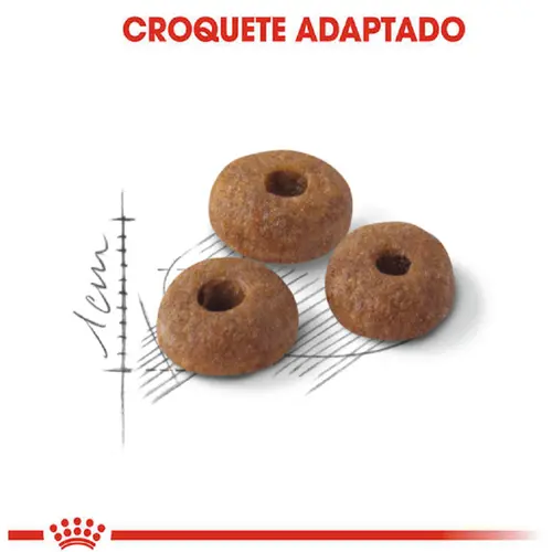 ROYAL CANIN CAT FIT 32