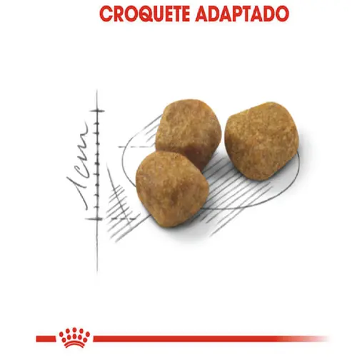 ROYAL CANIN CAT INDOOR 7+