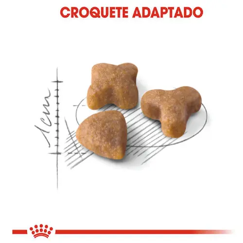ROYAL CANIN CAT SENSIBLE
