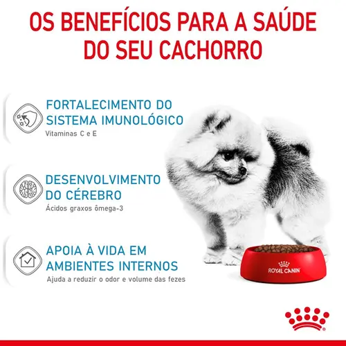 ROYAL CANIN MINI INDOOR JUNIOR