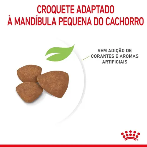 ROYAL CANIN MINI INDOOR JUNIOR
