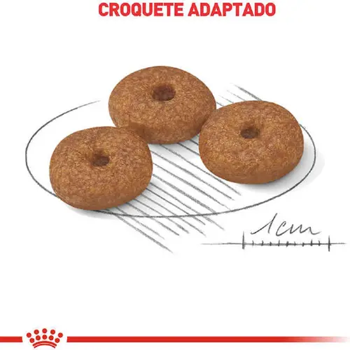 ROYAL CANIN MINI AGEING 12+
