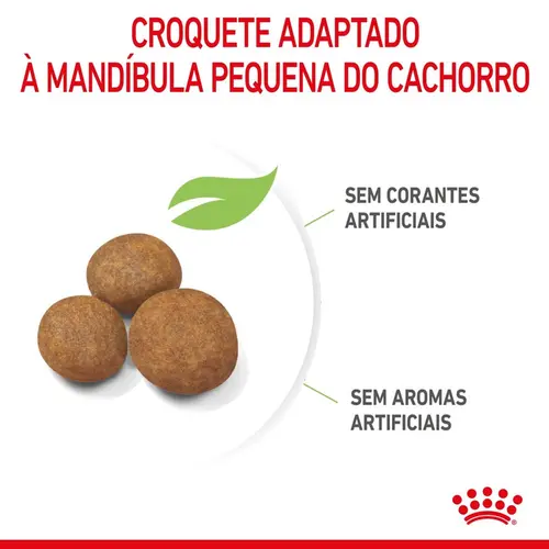 ROYAL CANIN MAXI PUPPY