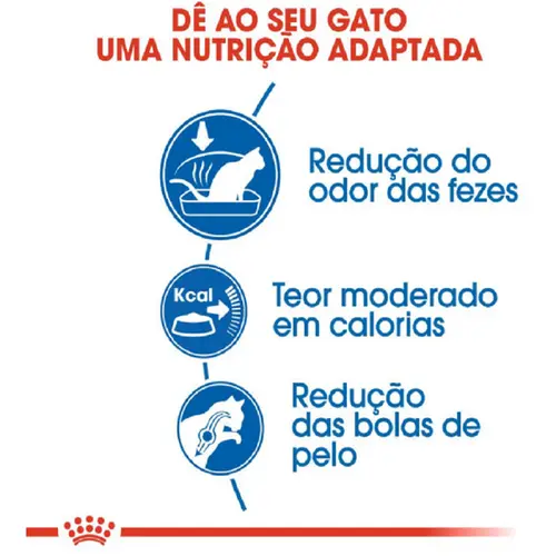 ROYAL CANIN CAT INDOOR