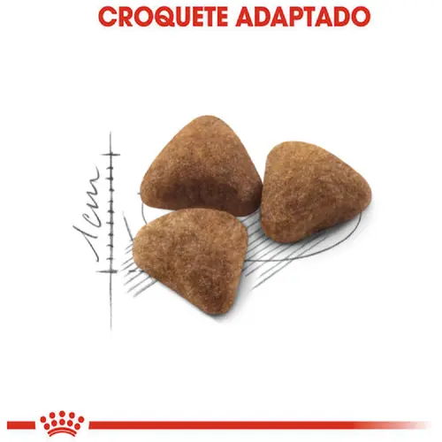 ROYAL CANIN CAT INDOOR