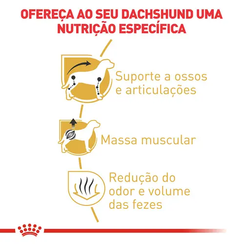 ROYAL CANIN DACHSHUND ADULT