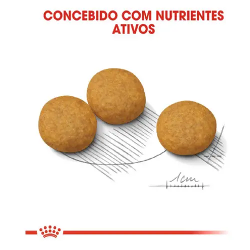 ROYAL CANIN MEDIUM DERMACONFOR