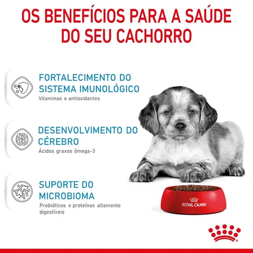 ROYAL CANIN MEDIUM JUNIOR