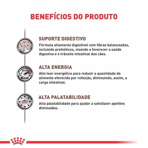 ROYAL CANIN INTESTINAL CANINE