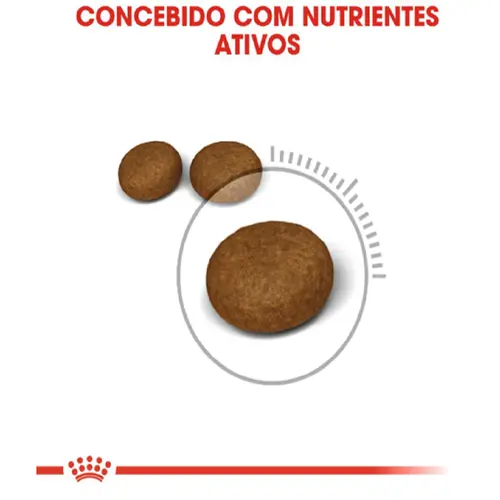 ROYAL CANIN CAT HAIR & SKIN CARE