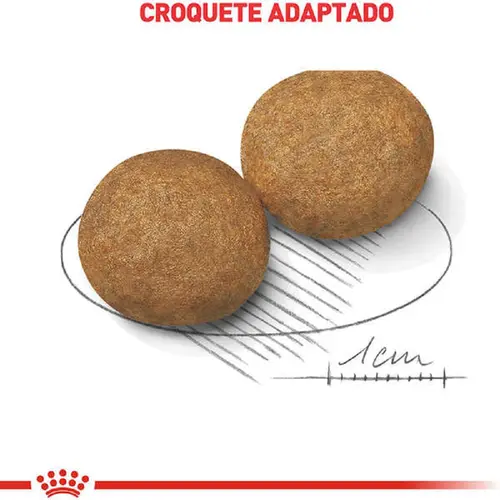 ROYAL CANIN MEDIUM ADULT