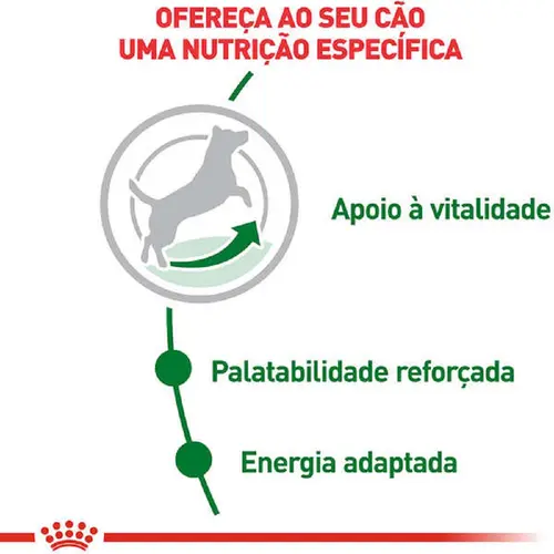 ROYAL CANIN MINI ADULT 8+