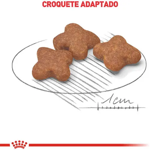 ROYAL CANIN MINI ADULT 8+
