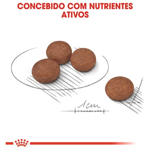 ROYAL CANIN MINI DIGESTIVE CARE