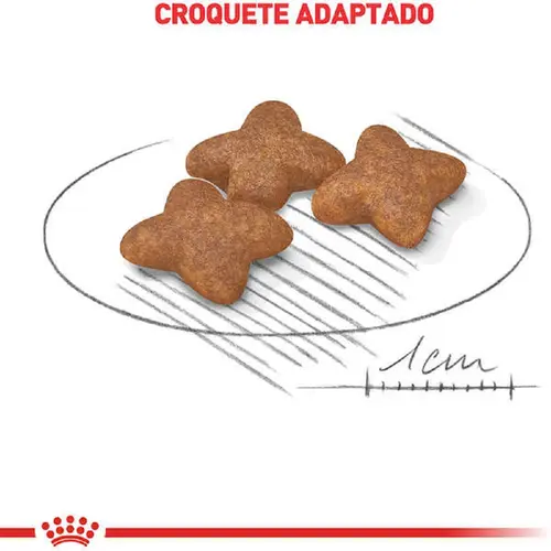 ROYAL CANIN MINI ADULT
