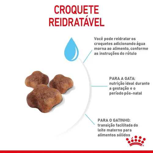 ROYAL CANIN CAT MOTHER E BABY CAT 4KG